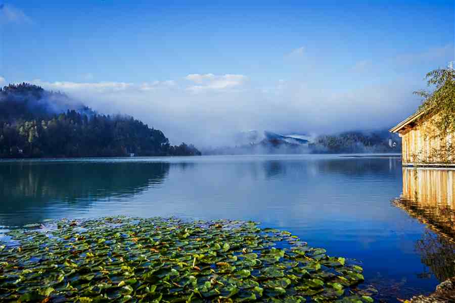 Misty blue lake with lily pads and still reflections