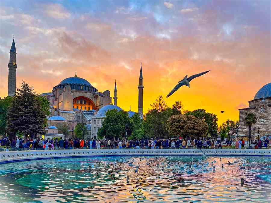 Hagia Sophia at sunset with a bird flying over the fountain
