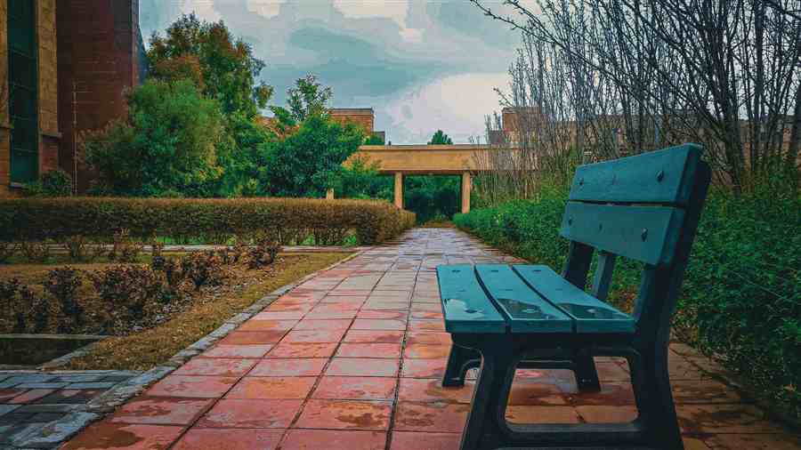 Rainy walkway with a bench beside trimmed greenery